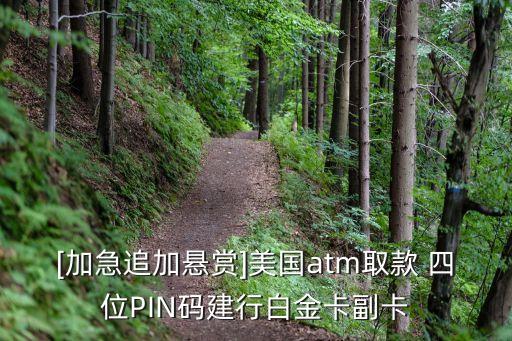 [加急追加懸賞]美國(guó)atm取款 四位PIN碼建行白金卡副卡