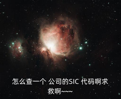 怎么查一個(gè) 公司的SIC 代碼啊求救啊~~~