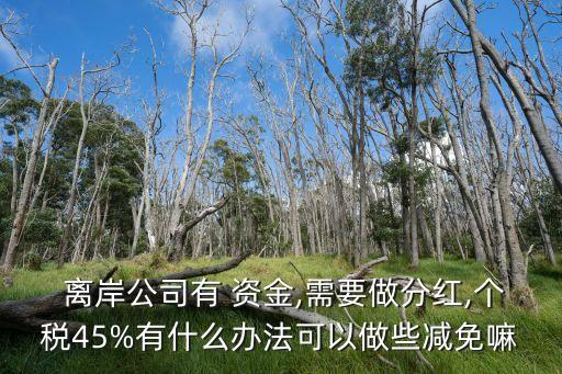  離岸公司有 資金,需要做分紅,個稅45%有什么辦法可以做些減免嘛