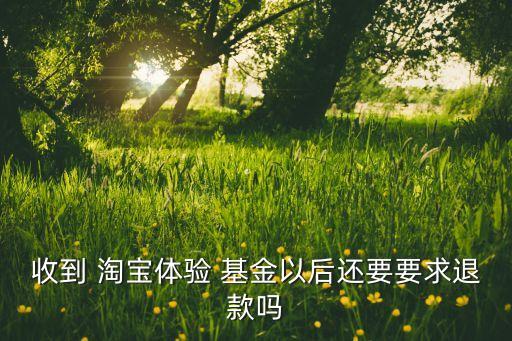 淘寶基金費(fèi)用,淘寶體驗(yàn)基金是什么