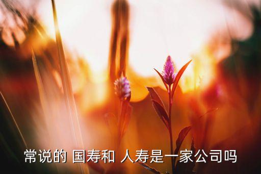 常說的 國壽和 人壽是一家公司嗎