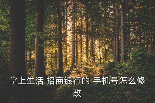 掌上生活 招商銀行的 手機號怎么修改