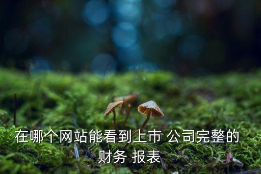 在哪個網(wǎng)站能看到上市 公司完整的 財務 報表