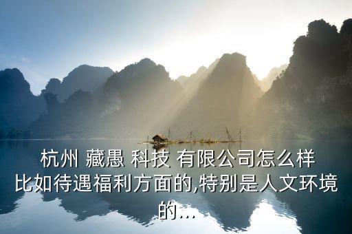 杭州藏愚科技有限公司怎么樣,杭州愚形網(wǎng)絡科技有限公司