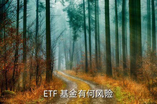 香港etf基金,香港ETF基金