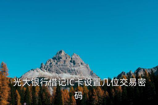  光大銀行借記IC卡設(shè)置幾位交易密碼