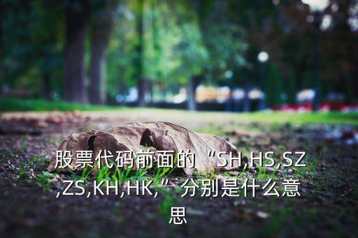  股票代碼前面的“SH,HS,SZ,ZS,KH,HK,”分別是什么意思