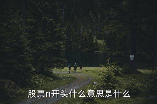  股票n開頭什么意思是什么