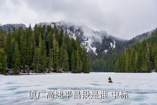 鎮(zhèn)廣高速平昌段是誰 中標