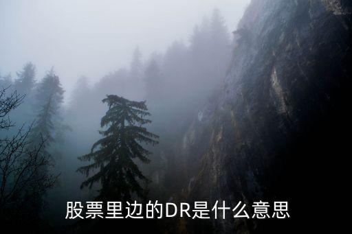  股票里邊的DR是什么意思