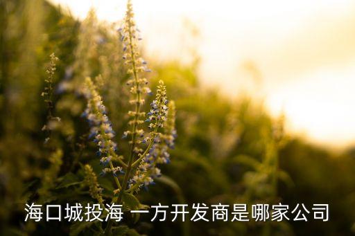 ?？诔峭逗?一方開發(fā)商是哪家公司