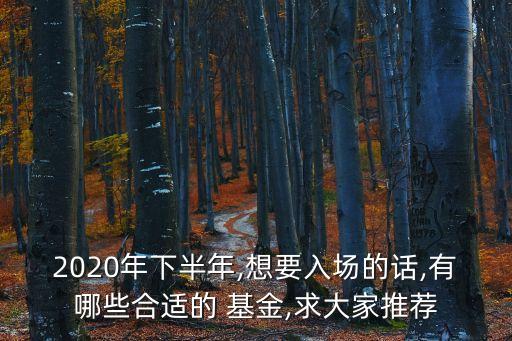 2020年下半年,想要入場的話,有哪些合適的 基金,求大家推薦