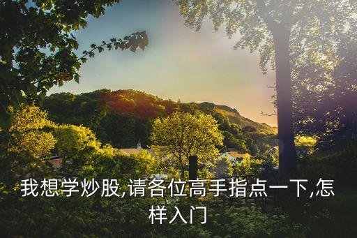 我想學(xué)炒股,請(qǐng)各位高手指點(diǎn)一下,怎樣入門(mén)