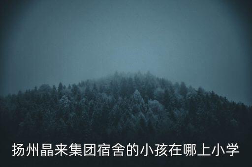 揚(yáng)州晶來集團(tuán)宿舍的小孩在哪上小學(xué)