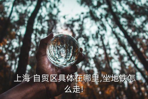 上海子自貿(mào)區(qū),上海自貿(mào)區(qū)什么時候開始的