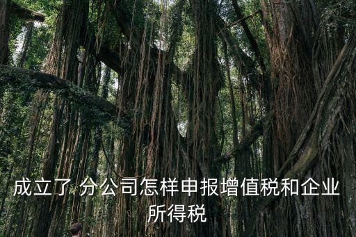 成立了 分公司怎樣申報(bào)增值稅和企業(yè)所得稅