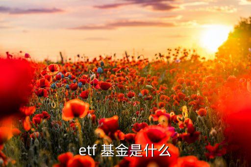 etf 基金是什么