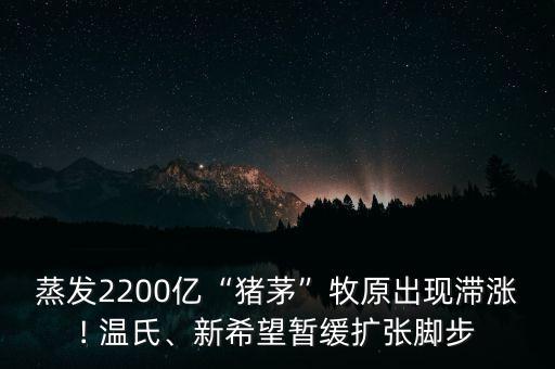 溫氏投資入股,廣東溫氏投資怎么樣