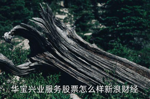 華寶興業(yè)服務(wù)股票怎么樣新浪財經(jīng)