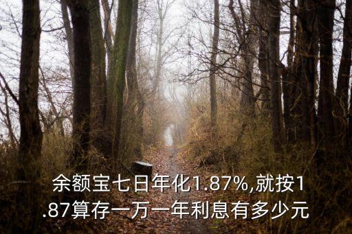  余額寶七日年化1.87%,就按1.87算存一萬一年利息有多少元