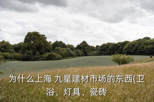 為什么上海 九星建材市場(chǎng)的東西(衛(wèi)浴、燈具、瓷磚