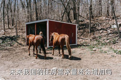 未來我國的住房需求量還會增加嗎