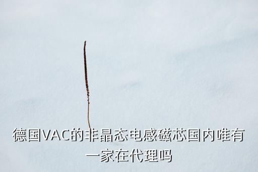 德國VAC的非晶態(tài)電感磁芯國內(nèi)唯有一家在代理嗎