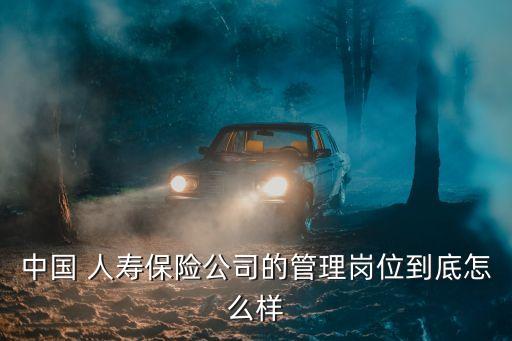 中國 人壽保險(xiǎn)公司的管理崗位到底怎么樣