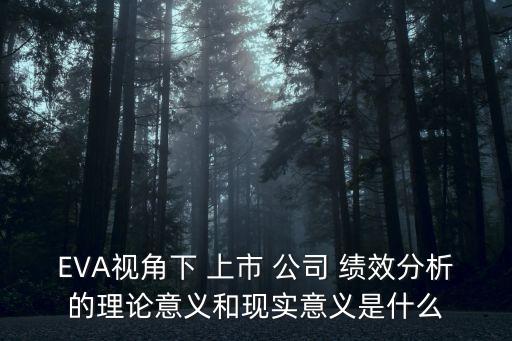 上市公司未來績效,中國未來前景最好的上市公司