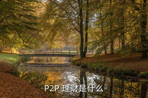 P2P 理財(cái)是什么