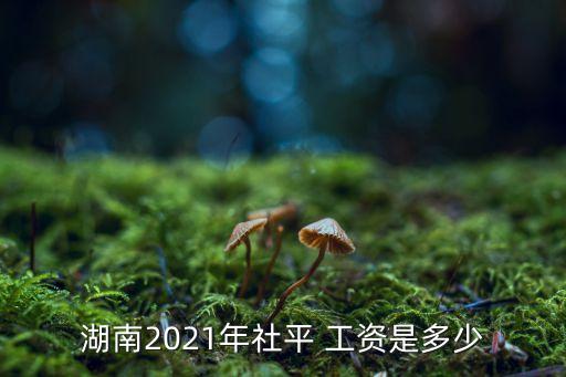 湖南2021年社平 工資是多少