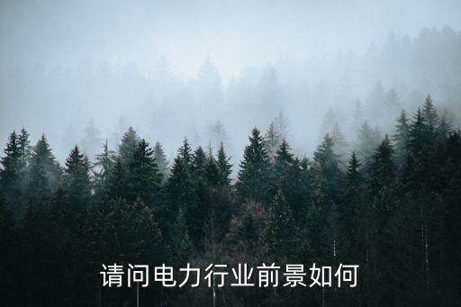 請問電力行業(yè)前景如何