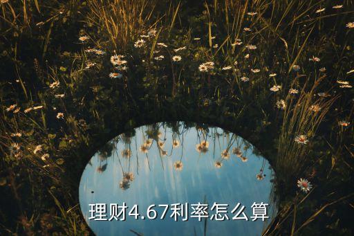  理財4.67利率怎么算