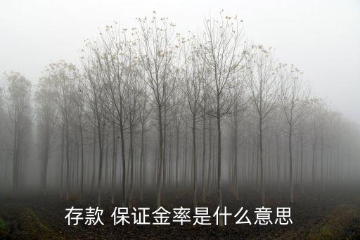 存款 保證金率是什么意思