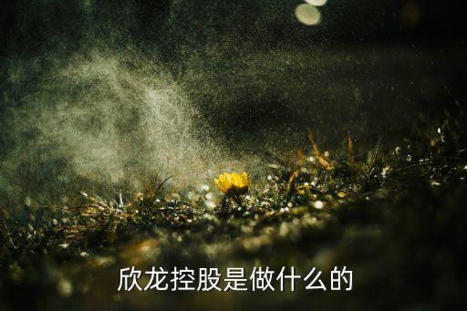  欣龍控股是做什么的