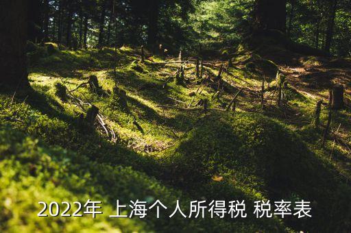 2022年 上海個(gè)人所得稅 稅率表