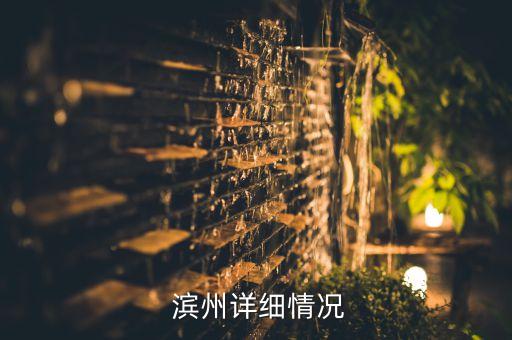 濱州華景電子有限公司,濱州歐菲斯電子科技有限公司