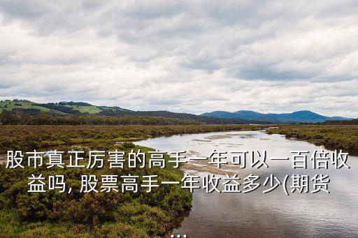 股市真正厲害的高手一年可以一百倍收益嗎, 股票高手一年收益多少(期貨...