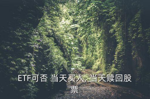 ETF可否 當(dāng)天買入, 當(dāng)天贖回股票