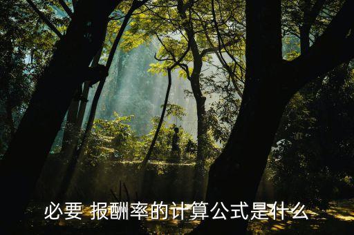 必要 報(bào)酬率的計(jì)算公式是什么