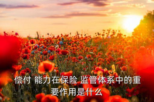  償付 能力在保險(xiǎn) 監(jiān)管體系中的重要作用是什么