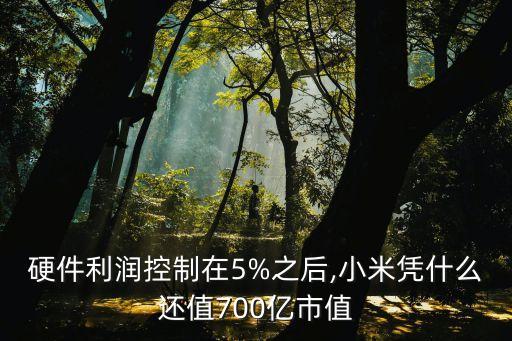 硬件利潤控制在5%之后,小米憑什么還值700億市值