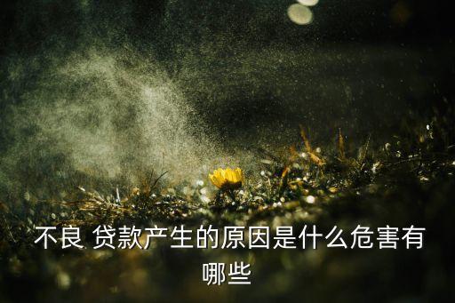  不良 貸款產(chǎn)生的原因是什么危害有哪些