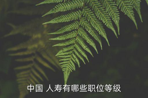 中國 人壽有哪些職位等級