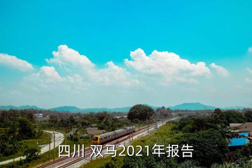 四川 雙馬2021年報(bào)告