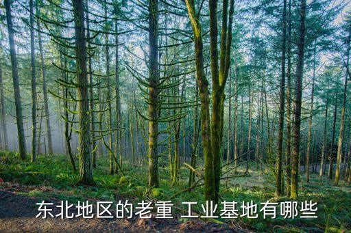 東北工業(yè)私人有限公司,中國航天工業(yè)供銷東北有限公司