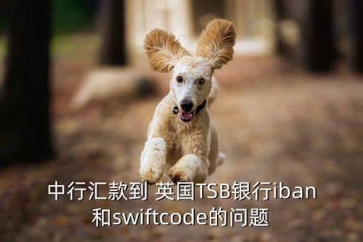 中行匯款到 英國(guó)TSB銀行iban和swiftcode的問(wèn)題