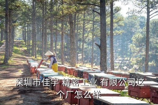  深圳市佳宇 精密工業(yè) 有限公司這個廠怎么樣