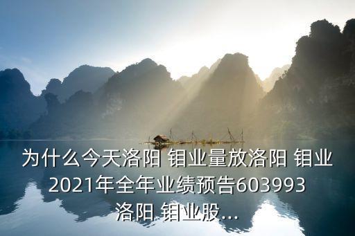 為什么今天洛陽(yáng) 鉬業(yè)量放洛陽(yáng) 鉬業(yè)2021年全年業(yè)績(jī)預(yù)告603993洛陽(yáng) 鉬業(yè)股...