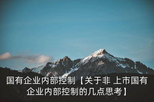 國(guó)有企業(yè)內(nèi)部控制【關(guān)于非 上市國(guó)有企業(yè)內(nèi)部控制的幾點(diǎn)思考】